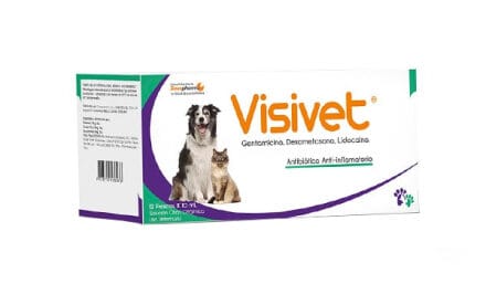 VISIVET 10 ML PESTAR