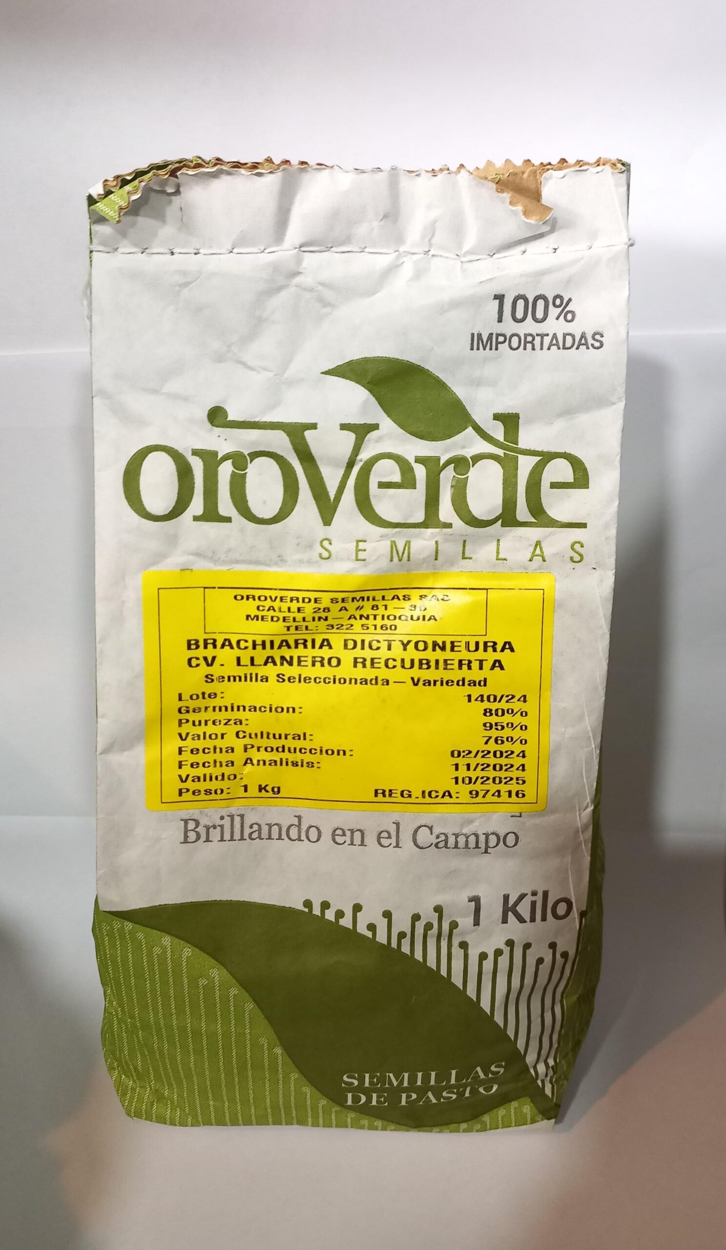 BRACHIARIA DICTYONEURA ORO VERDE