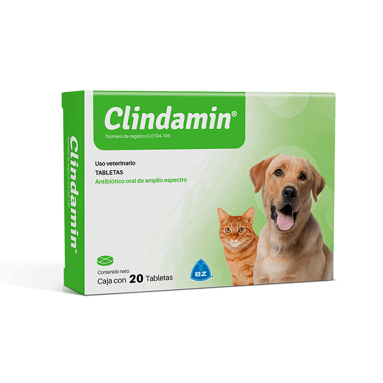CLINDAMIN SOBRE x 10 Comprimidos Veterinarios