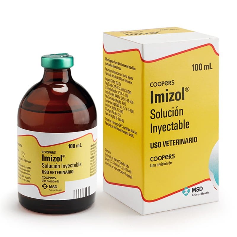 IMIZOL 100 ML
