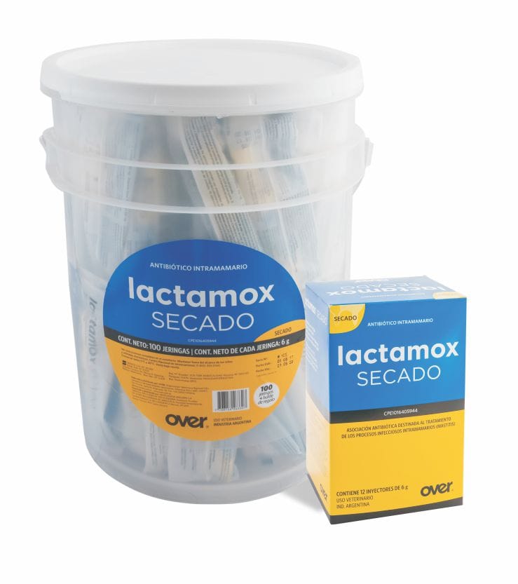LACTAMOX SECADO BALDE x 60 JERINGAS